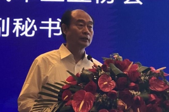 师建华：今年车市或将负增长 下半年压力较大