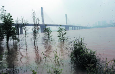 湘江湘潭站流量或超历史之最 常宁衡东绥宁攸县茶陵醴陵灾情最重