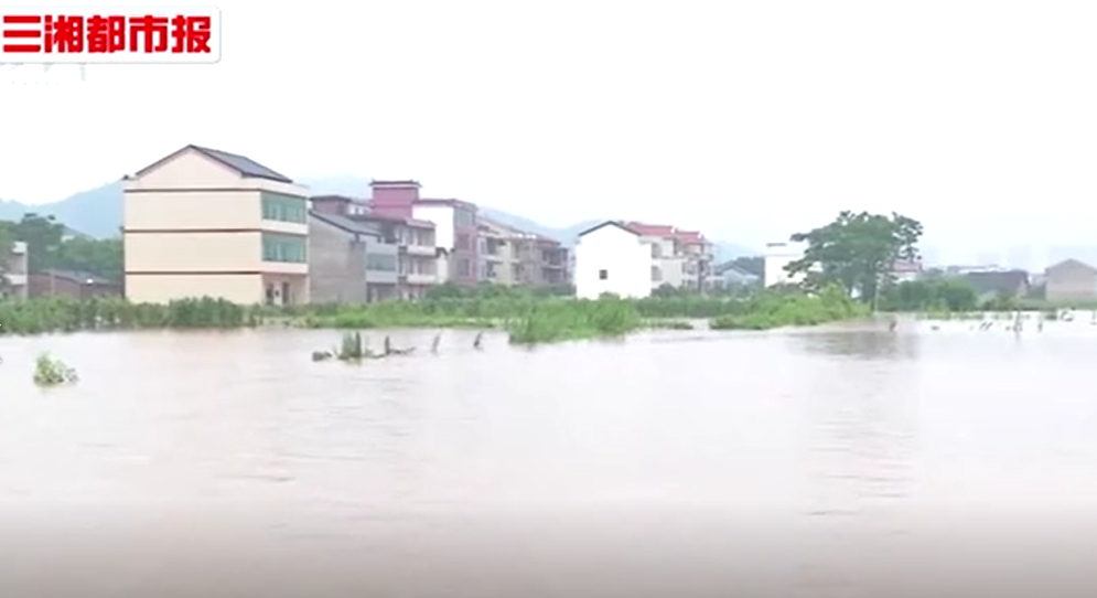 视频|暴风雨中最可爱的人——湖南迎战暴雨洪峰纪实