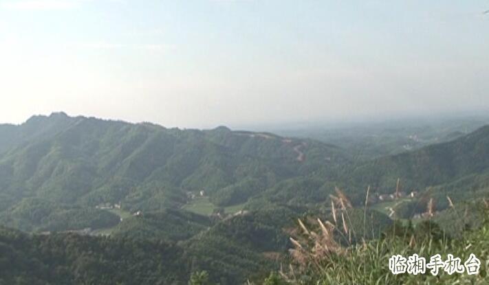 临湘市打造森林防护“绿色长廊”600公里