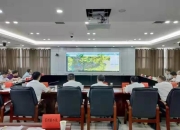 刘事青专题调度“大棚房”专项清理后续整改工作