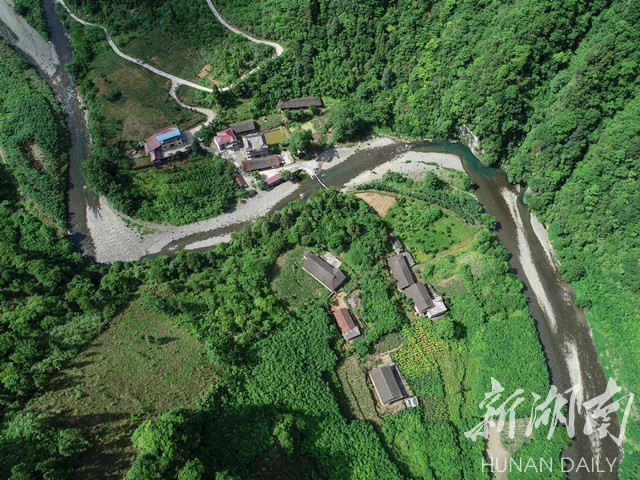 河长制"最美河流"展播丨桑植县河口乡澧水中源干流迷水河