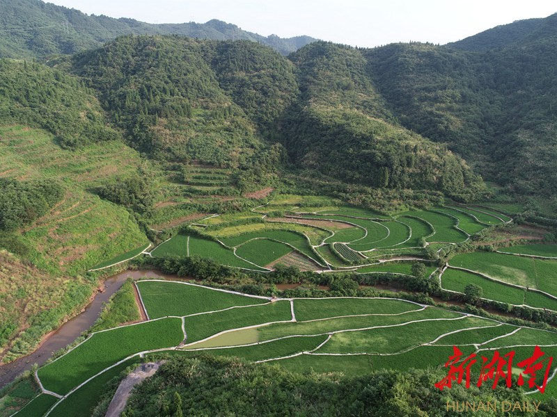 重磅8月24日泸溪县红岩村摸鱼节多摸多得还有奖金可拿
