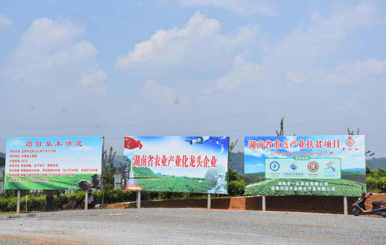 茶葉基地的宣傳廣告牌.張雲龍攝