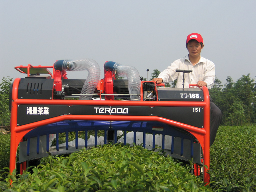 茶籽采摘机器图片