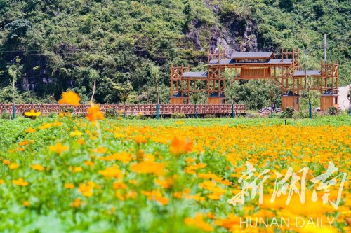 旅游丨江华：​水口古瑶部落花海盛开