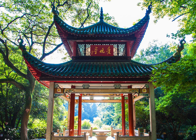 我爱醉美岳麓山