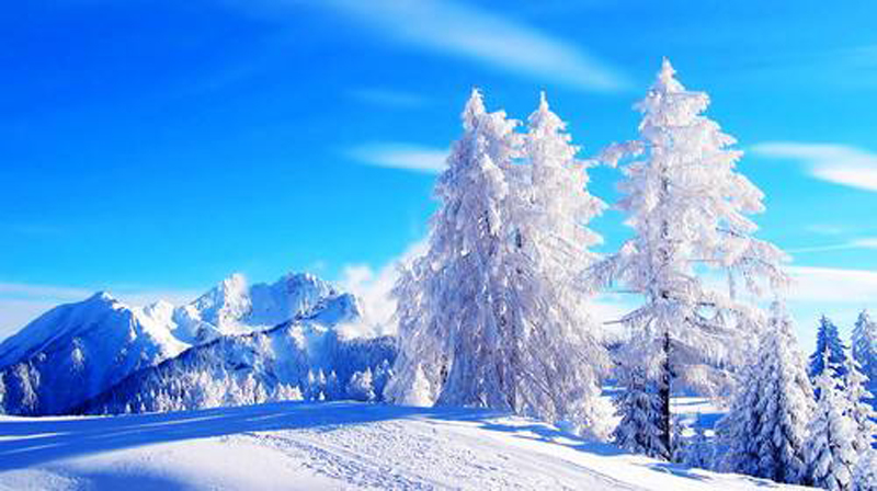 我爱美丽的大秃顶子山