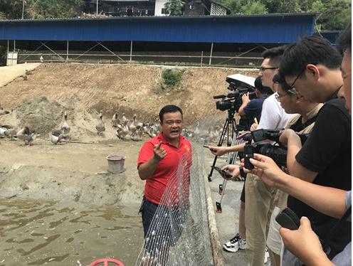 华声在线：奋斗新时代 一个不能少【全省残疾人脱贫攻坚先进典型报道】之五“天鹅村长”助力残疾农户奔小康