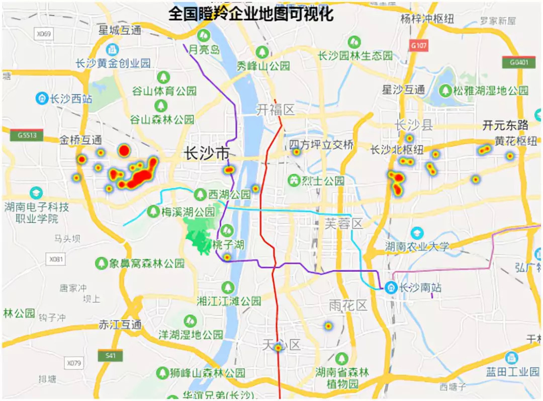 瞪羚報告發布長沙417家瞪羚企業在奔跑居省會城市第6位