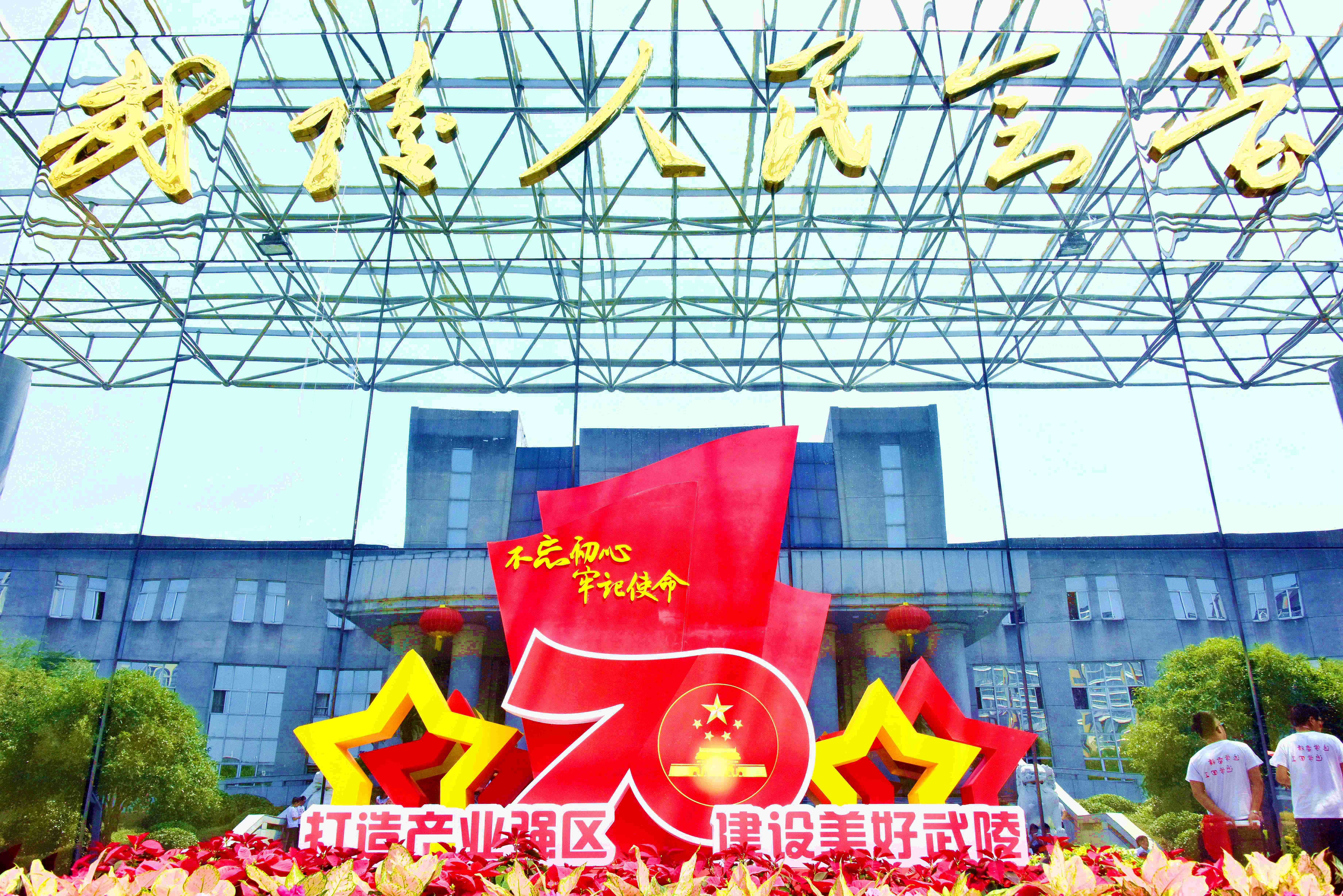 武陵区领导开展党员志愿服务活动