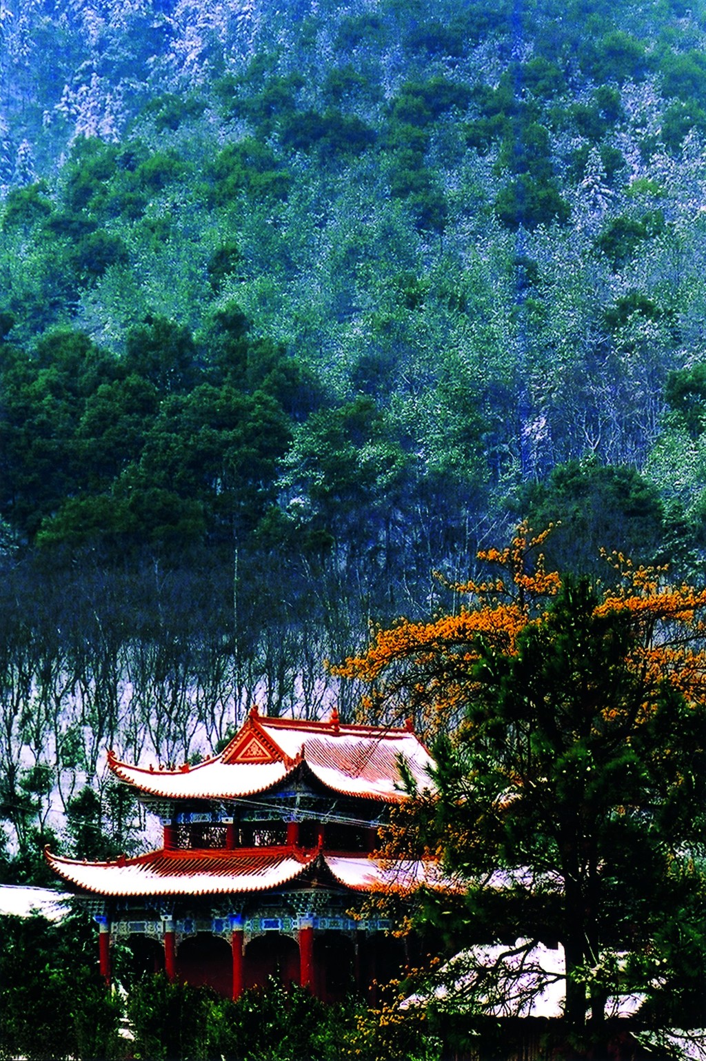 夹山- 湖南屋脊·大美石门 - 石门橘子红了——2019第十九届湖南石门