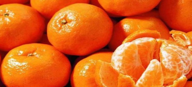 十九届石门柑橘节启幕在即，邀请八方游客提前品橘