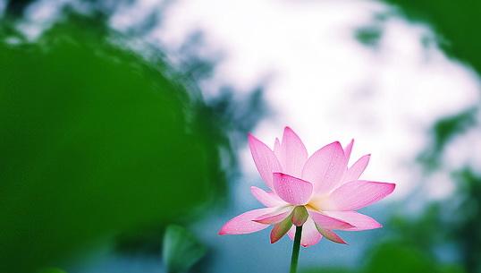 李大爷的五好生活：终于明白为什么好人一生平安了