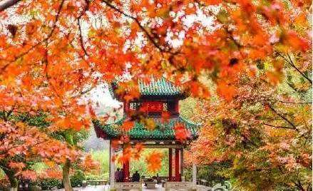 长沙“梦”，我与你同在