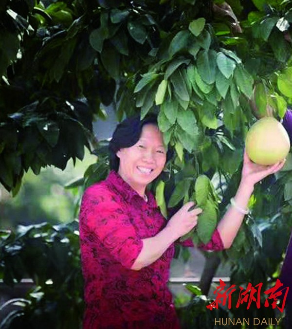 湖南好人·每周一星丨诚信“花”开果满园 ——记诚实守信“湖南好人”邓满秀 新湖南www.hunanabc.com