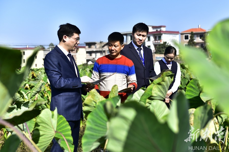 党建共创 金融普惠 新湖南www.hunanabc.com