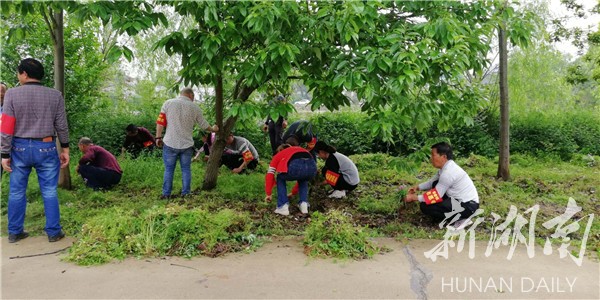 姜畲镇：主题教育助力人居环境整治