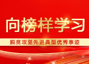 向榜样学习 | 刘祖治：专业的“领路人”让荒山变金山