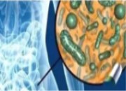 肚子里的细菌发生着如何影响健康的变化？带你认识和保护肠道菌群