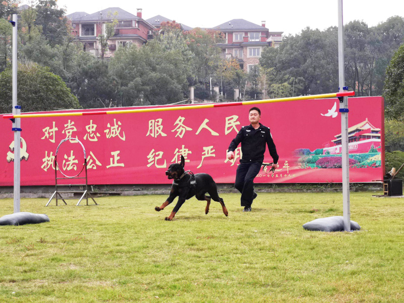 不会说话的“特种兵”