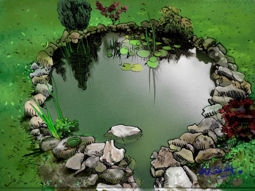 我爱美丽的小池