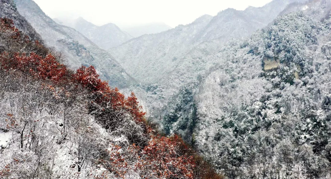 當日,秦嶺雪後初霽,重重山巒在白雪覆蓋下宛若仙境.