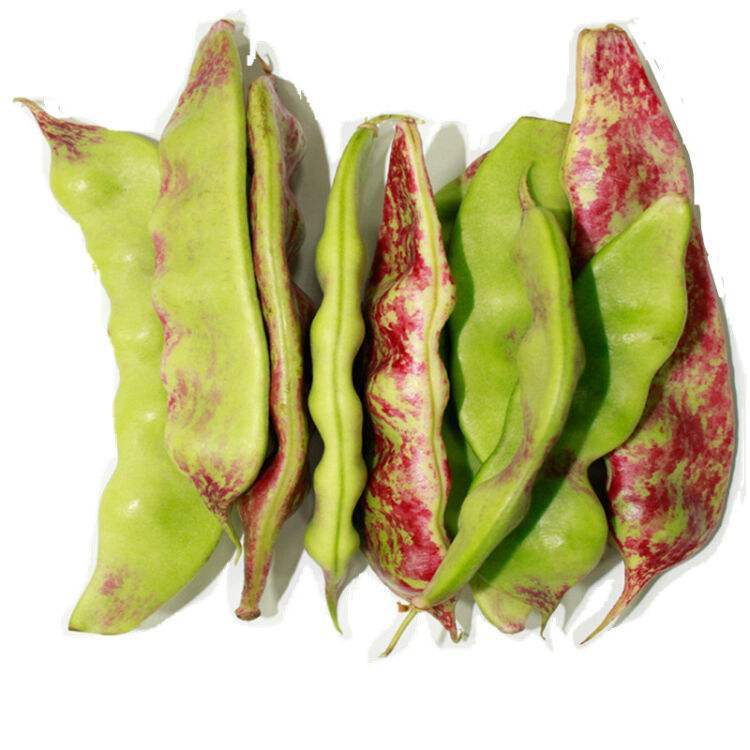 15人中毒入院昆明发布谨慎食用东北油豆预警公告