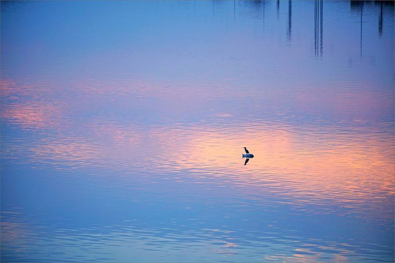 晨曦中那一抹笑