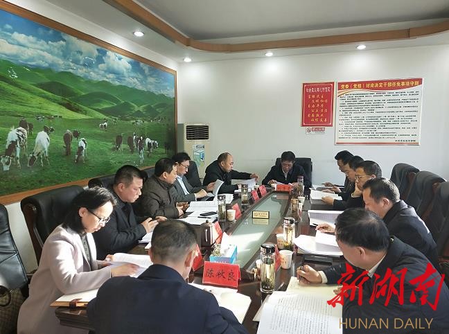 邵阳：做到四个“着力强化” 推动政府工作水平上新台阶