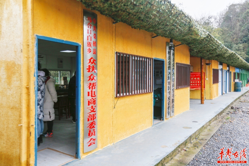 桑植众扶众帮公司：让农户放心种、大胆养 一起奔小康