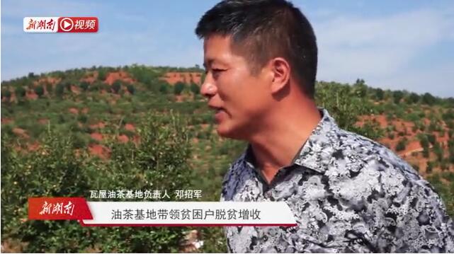 油茶基地带领贫困户脱贫增收