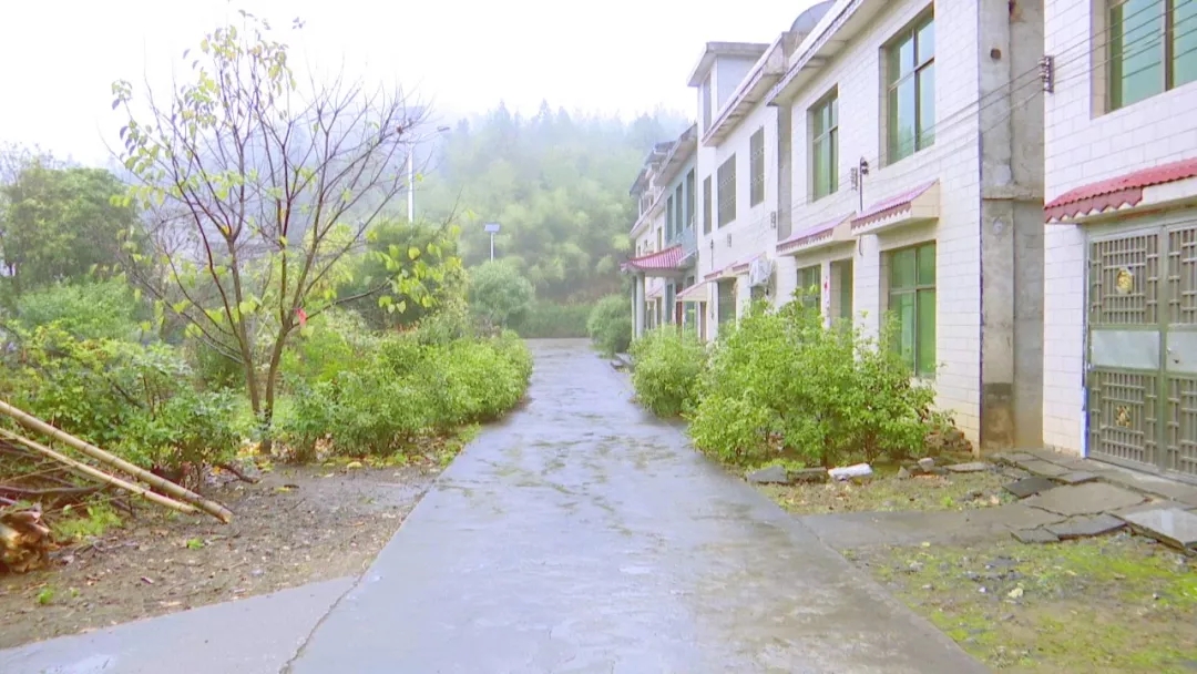 【我的村规民约】许家洞镇板子楼村:《村规民约》引领文明新风尚