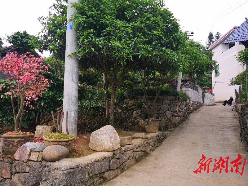 ④保靖县迁陵镇茶市村整洁的村容村貌.