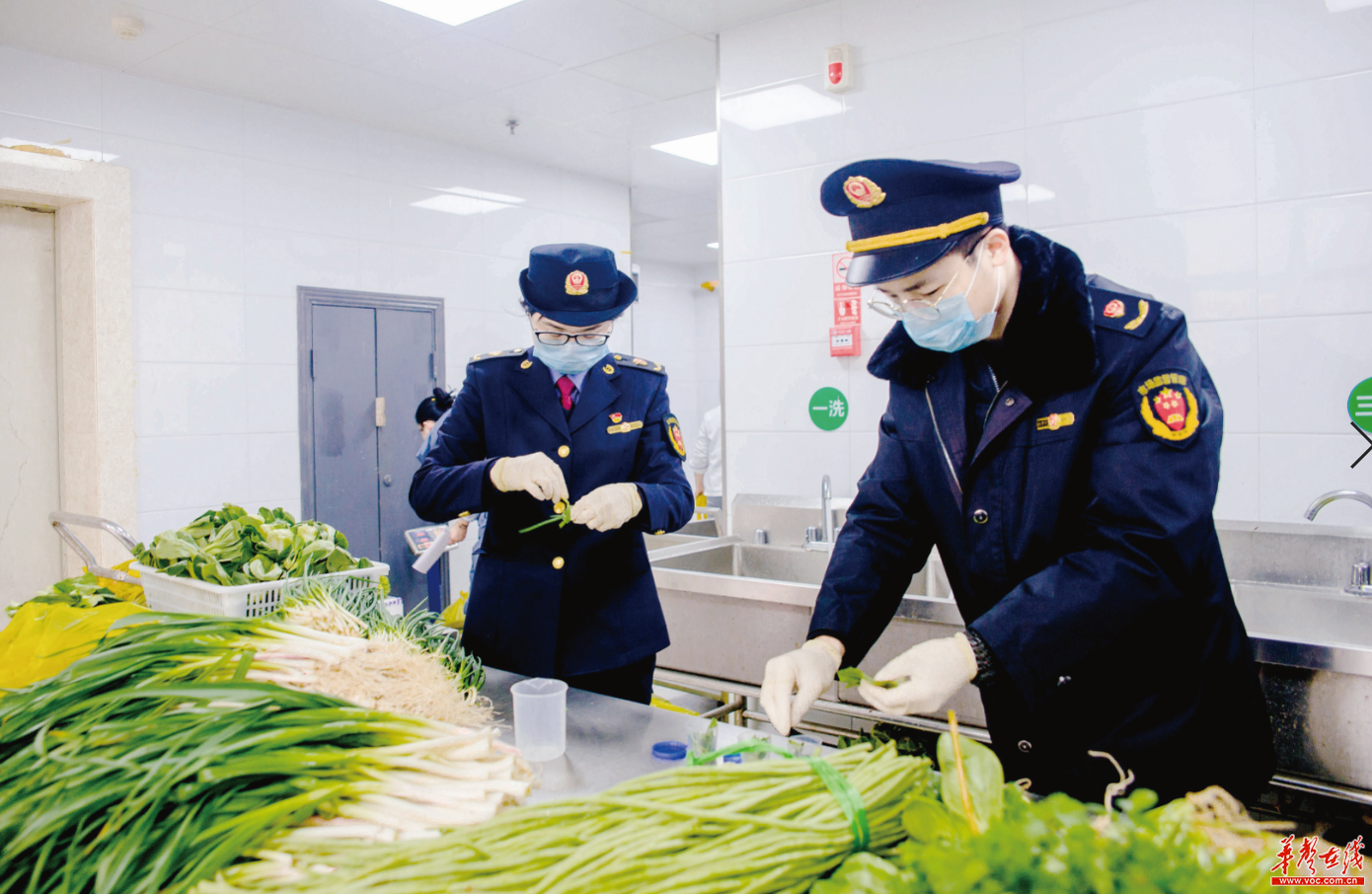 《2022年世界粮食安全和营养状况》发布_农业中国_中国网