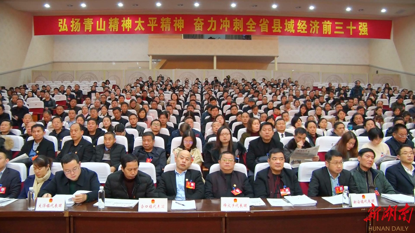 【"两会"临澧】临澧县第十七届人民代表大会第五次会议开幕
