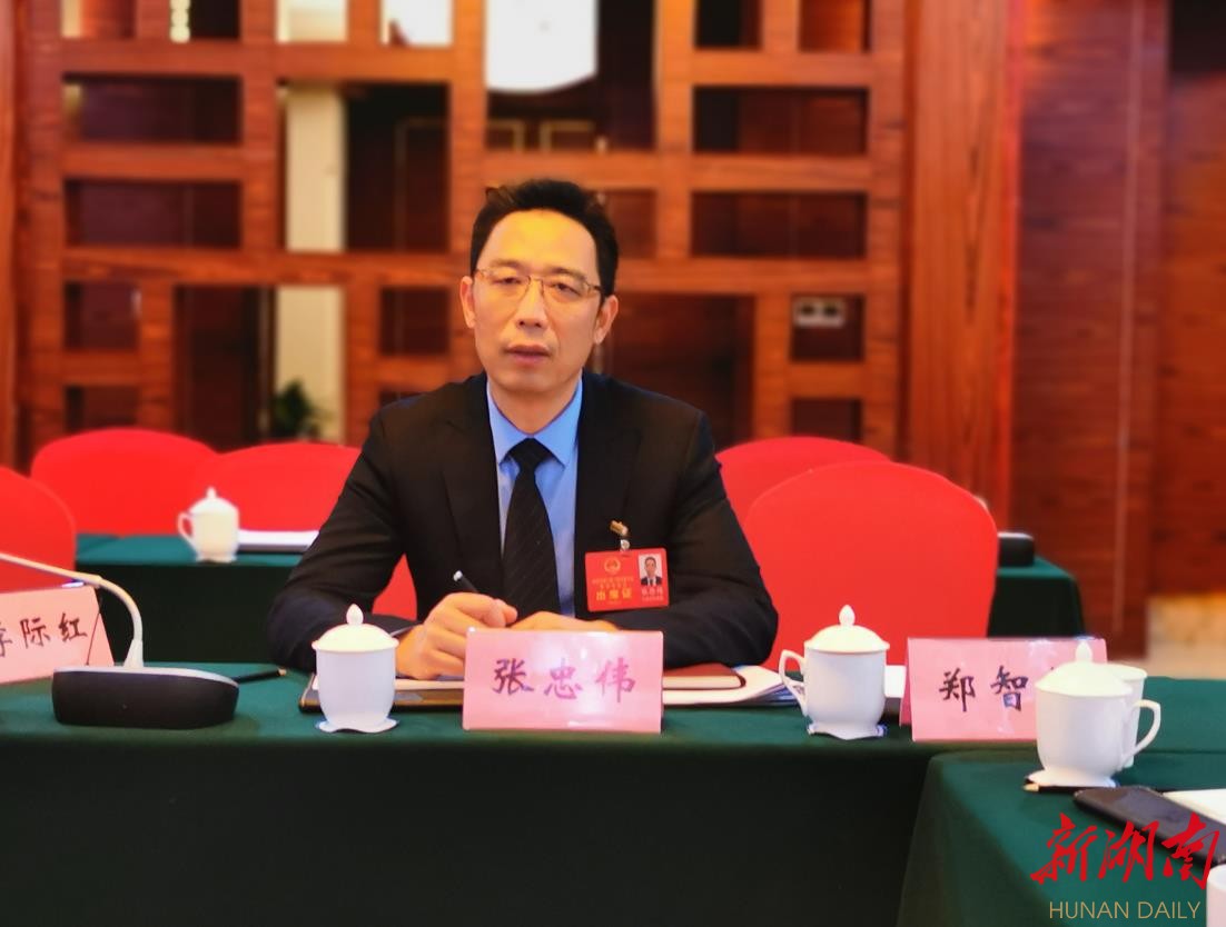 (云溪代表团人大代表张忠伟)临湘代表团人大代表王博:法检两院的报告