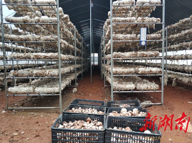 邵阳各县经济排名_2020年1-9月,邵阳各区县gdp排名,新宁竟排在……