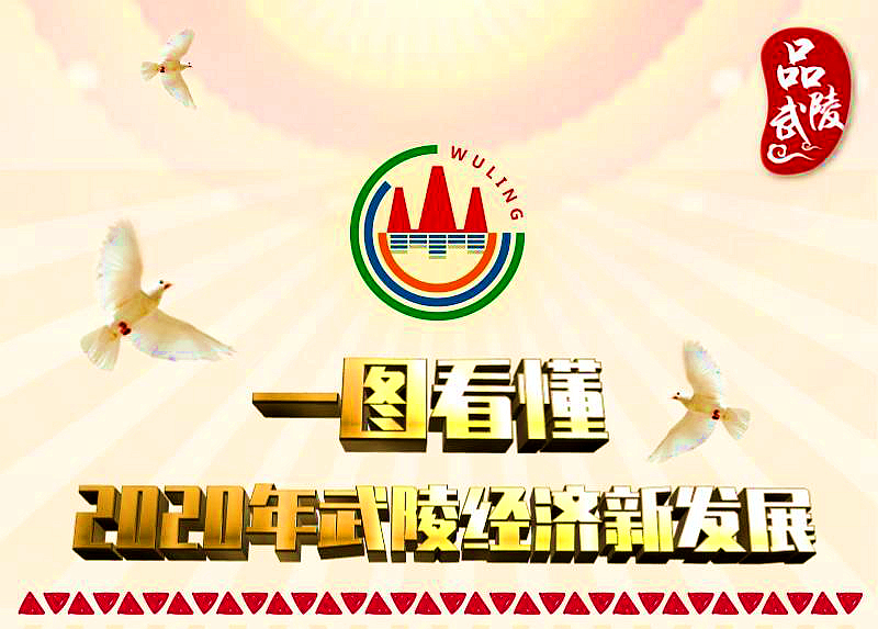 【一图看懂】2020年武陵经济新发展
