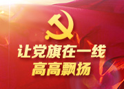 一个党员一面旗 唤起群众千百万