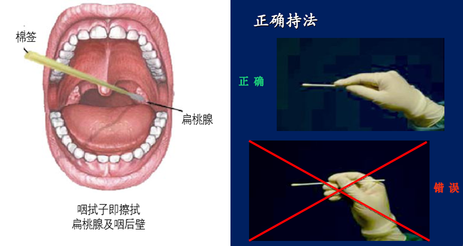 健康要聞 - 新湖南