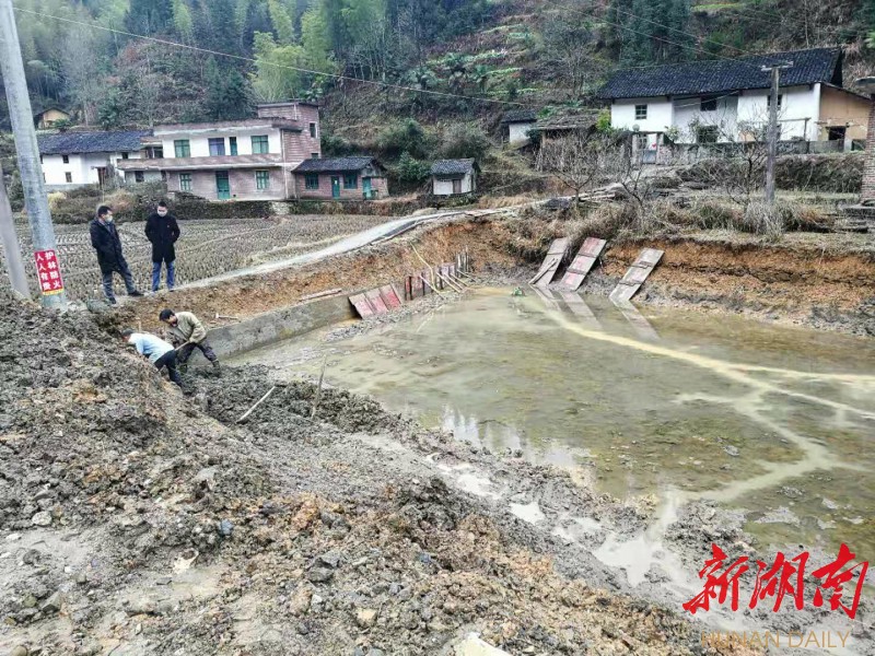寨前镇：防疫情与保春耕“两手抓”