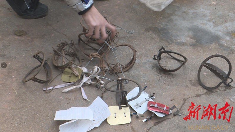 还在非法狩猎衡阳县严查非法猎捕经营野生动物行为