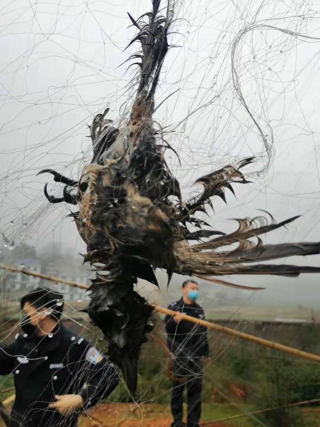 涟源市森林公安局破获一起非法猎捕珍贵濒危野生动物案