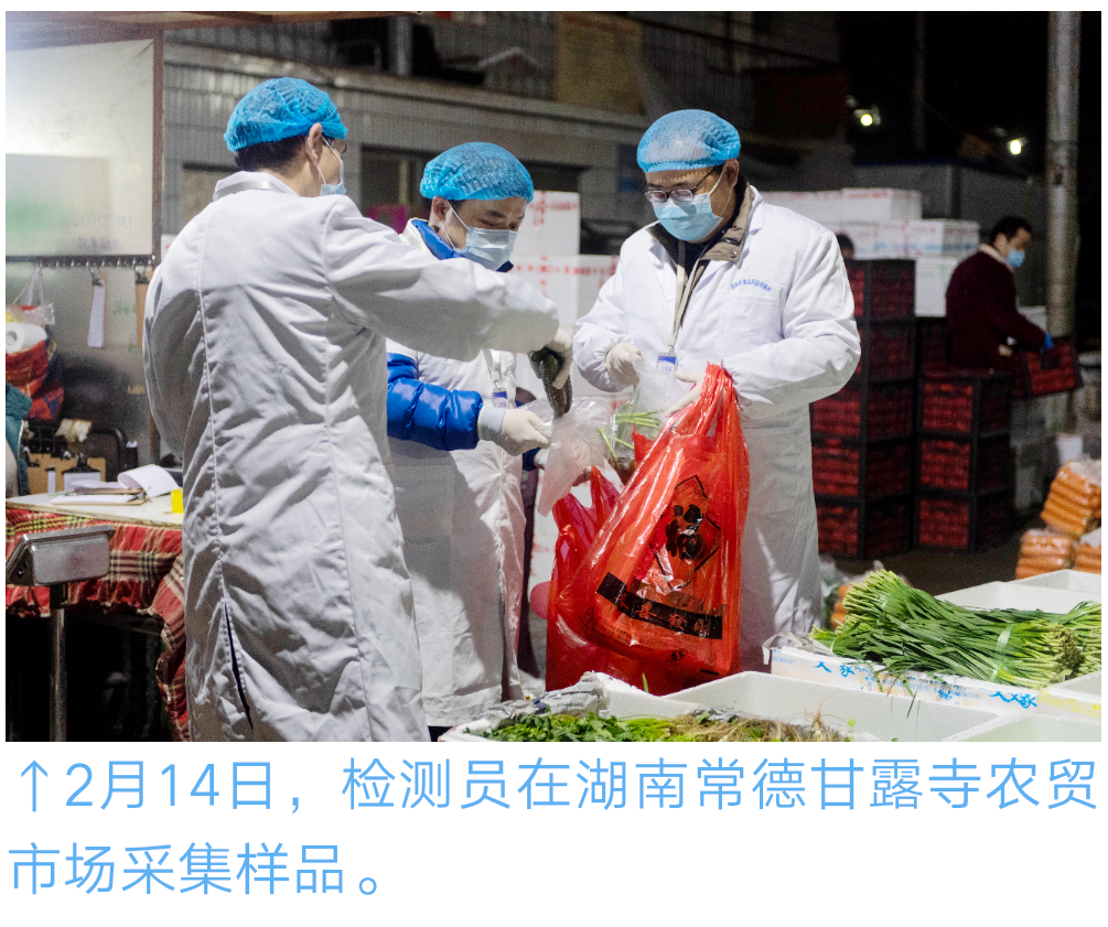 【常德市武陵区】守护“菜篮子”安全
