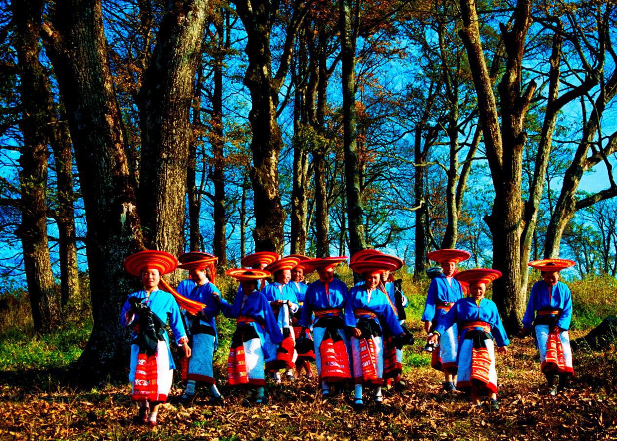 荣誉瑶民老后和他镜头下的花瑶