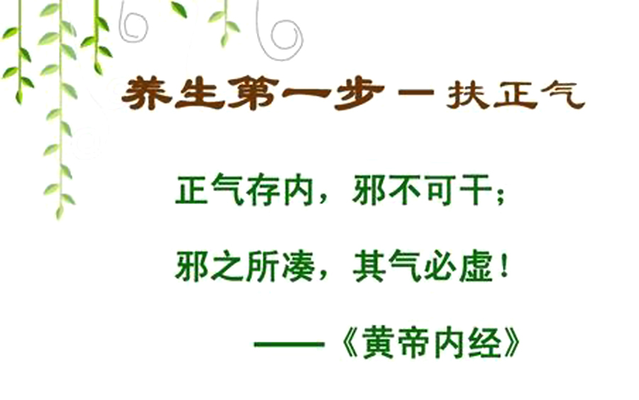 也就是《黄帝内经》所说的"正气存内,邪不可干,邪之所凑,其气必虚.