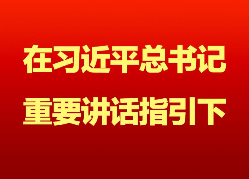 生命至上 妙手回春——我省争分夺秒救治新冠肺炎重症患者纪实
