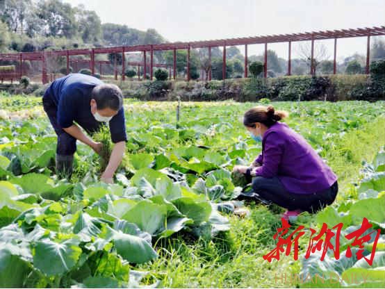 彭建家摄(望城区)开福区复工企业新亚胜光电股份有公司5条led全自动