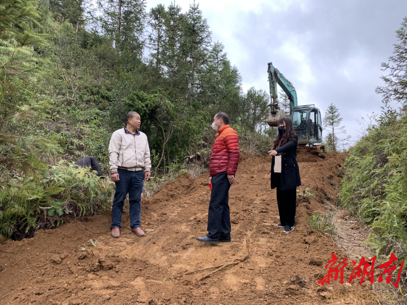 四都镇：角塘村荒山变身“油茶林”，助力乡村振兴